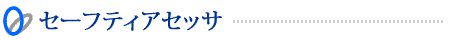 セーフティアセッサ